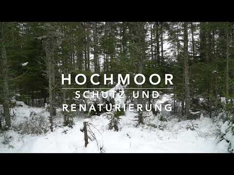 , title : 'Von Mooren und Moor-Renaturierung'