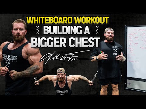 Building a Bigger Chest | Seth Feroce