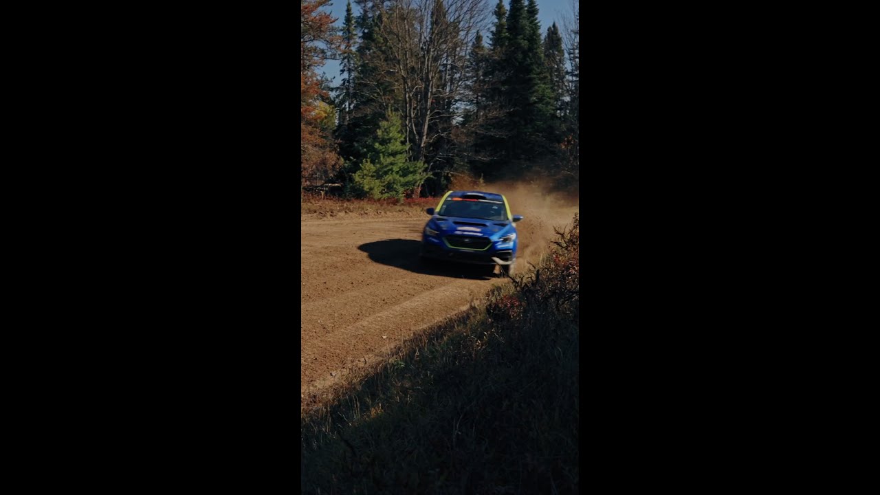 The Final Rally of 2025