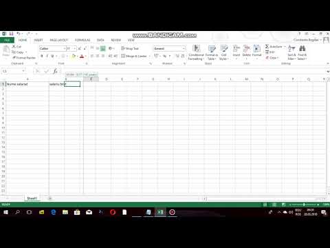 aplicatie salariu Microsoft excel