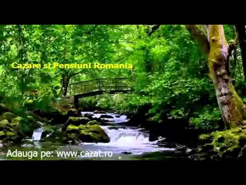 Cazare Gialacuta, Hunedoara - Cazat.ro