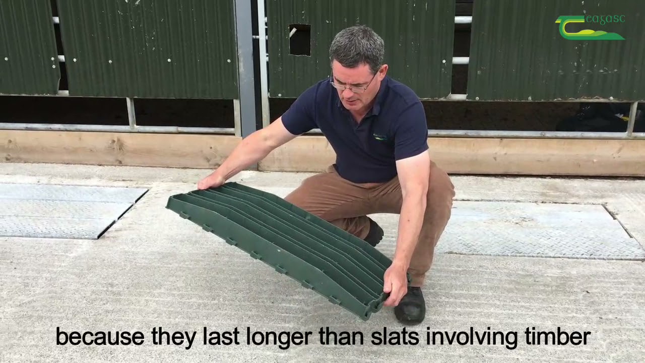 Designing a sheep shed