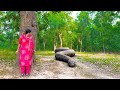 Anaconda Snake Attack Village Girl In Forest