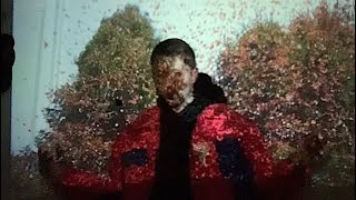 Cover art for butterfly rumors