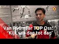 Levi Opdam ging van topclub Paris Saint-Germain naar TOP Oss: 'Nu gaat het echt ergens om'