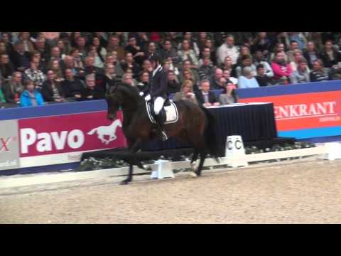 Franklin : Ampère X Ferro KWPN Den Bosch 2016