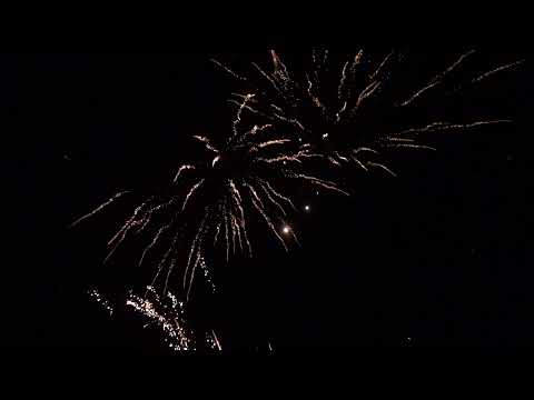 APF 2060 - Golden Spider 25 Schuss (2020 Charge)