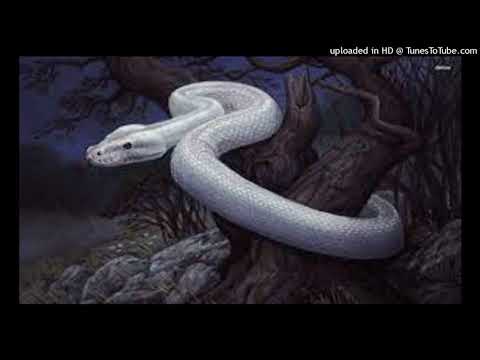 Danmbala Wedo Bon Papa Vodou