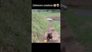 Download lagu unknown creature | mysterious creature caught on camera 😨 #shorts #youtubeshorts #ytshorts #mystery mp3 Download lagu unknown creature | mysterious creature caught on camera 😨 #shorts #youtubeshorts #ytshorts #mystery mp3