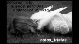 No Volveras A Mi Lyrics English Translation