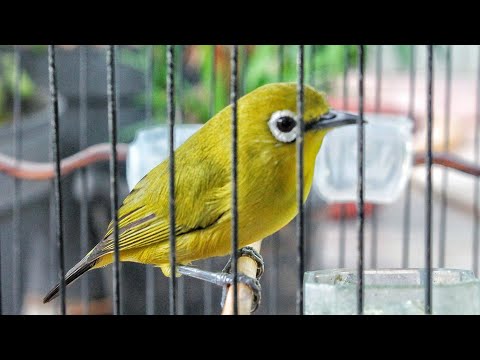 Betina Novyj Trend Smotret Onlajn Na Sajte Trendovi Ru