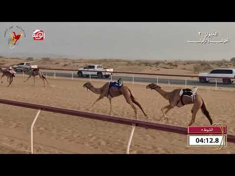  ش 5 (الحذره) لـ احمد سلطان بالرشيد السويدي 9:46 , شارة الديوان 2 2026/10/18 اللبسه حول زمول  
