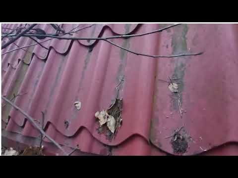 Jesienne czyszczenie rynien przed zimą .