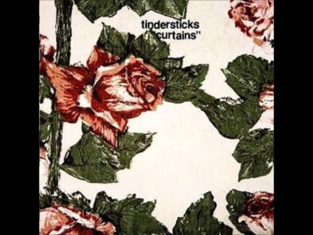 Tindersticks: La banda de indie rock con un estilo musical único