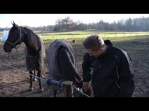 Rinkside Magnus Johansson, Linköpings HC, Elitserien HD
