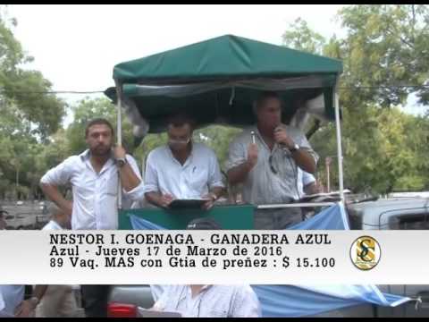 17-03-16 Venta de Vientres - Nestor I. Goenaga y Ganadera Azul - Azul