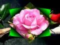 Tamil Qaseeda Kannaana Kanmani Ye Kasthoori Ma Malare