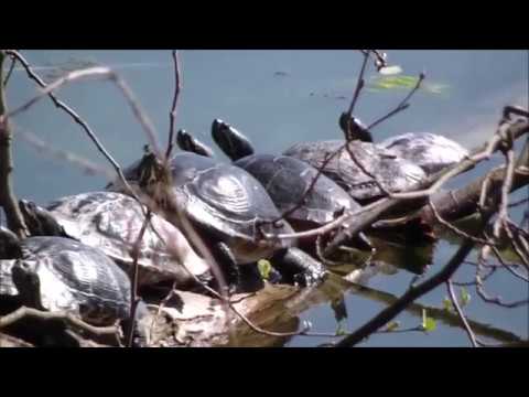 Freiburg - Landwasser