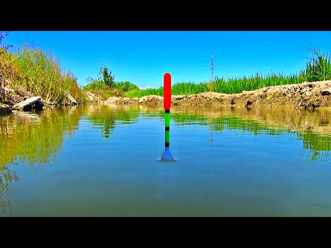 Pescuit la pluta cu nada minune 🌾🌾🌾