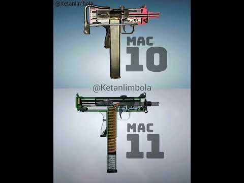 Mac 10 vs Mac 11