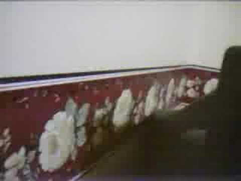 Re: gülşen-gitmesi kolay