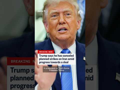 Trump cancels planned strikes on Iran