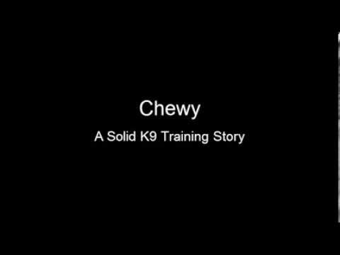Solid K9 Training Stories - Chewy
