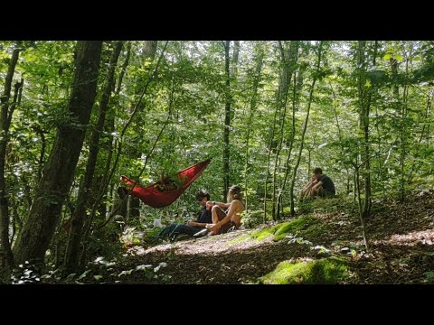 TORVIK - TRIBE F*CK!N' TRIBE