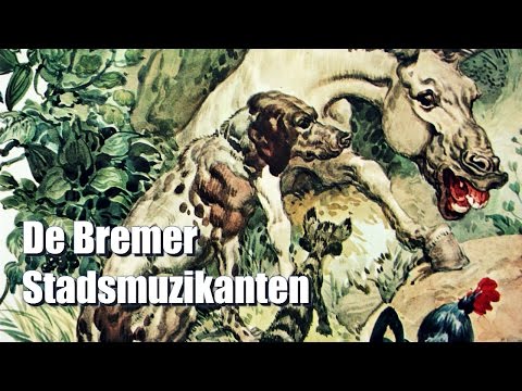 Melodieën in de Nacht: De Avonturen van de Bremer Stadsmuzikanten