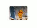 Pooh S Fitness Video With Words