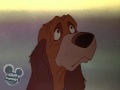 The Fox And The Hound 1981