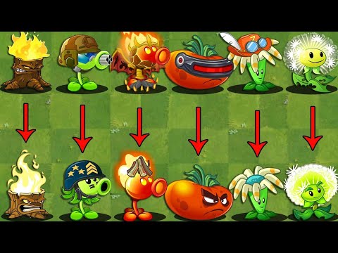 Pvz 2 Discovery - Difference Every Plants International Vs China