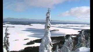 preview picture of video 'Koli in winter 2010'