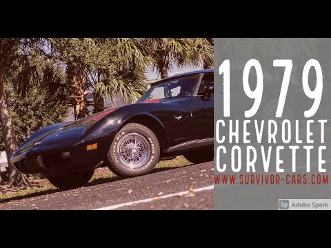 1979 Chevrolet Corvette (CC-1424311) for sale in Palmetto, Florida