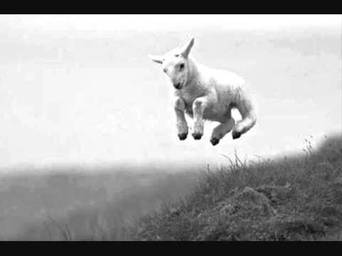 Pauline Scanlon ~ The Lambs on the Green Hills