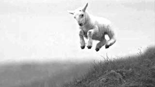 Pauline Scanlon ~ The Lambs on the Green Hills