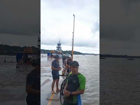 Salvaterra - Soure (Travessia de balsa ,de Salvaterra para Soure).    #paisagemnatural