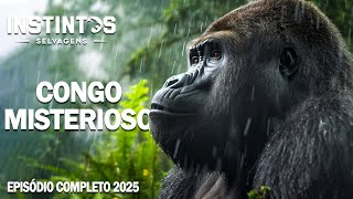 MYSTERIOUS CONGO | Survival in the Primeval Forest | Animal Documentary