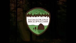 Mimicking Birds - New Doomsdays (original version)