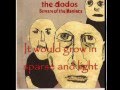 The Dodos - Beards (Letra)