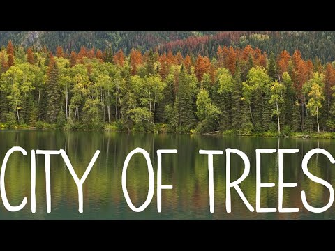 city of trees