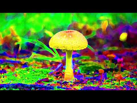 PsyTrance! NightPsy! Goa! Stipe-X - Can you pass the acid test?