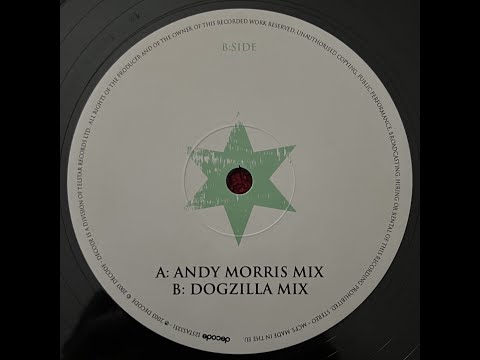 Poloroid - So Damn Beautiful (Dogzilla Mix) 2003