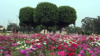 Labor Chowk, Chandigarh