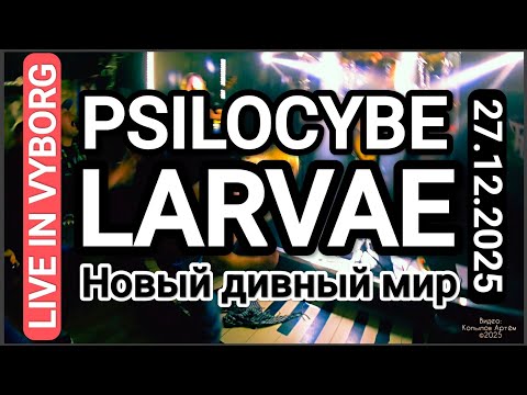 Psilocybe Larvae - Новый дивный мир | LIVE IN VYBORG | большой концерт 27.12.2025 | Zona Bike 