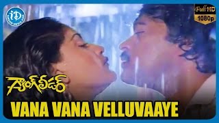 Gang Leader Video Songs - Vana Vana Velluvaaye | Chiranjeevi | Vijayashanti | Bappi Lahari