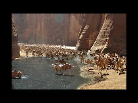 Basa Basa Soundz - Nature