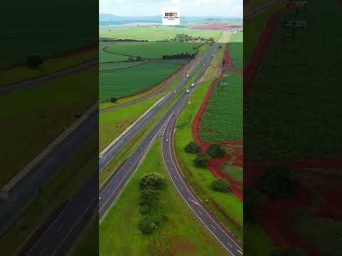 CRAVINHOS-SP #shorts