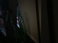 channel