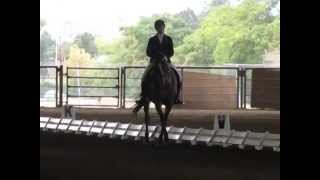preview picture of video 'State of Jefferson Dressage Show - Oct.2014'